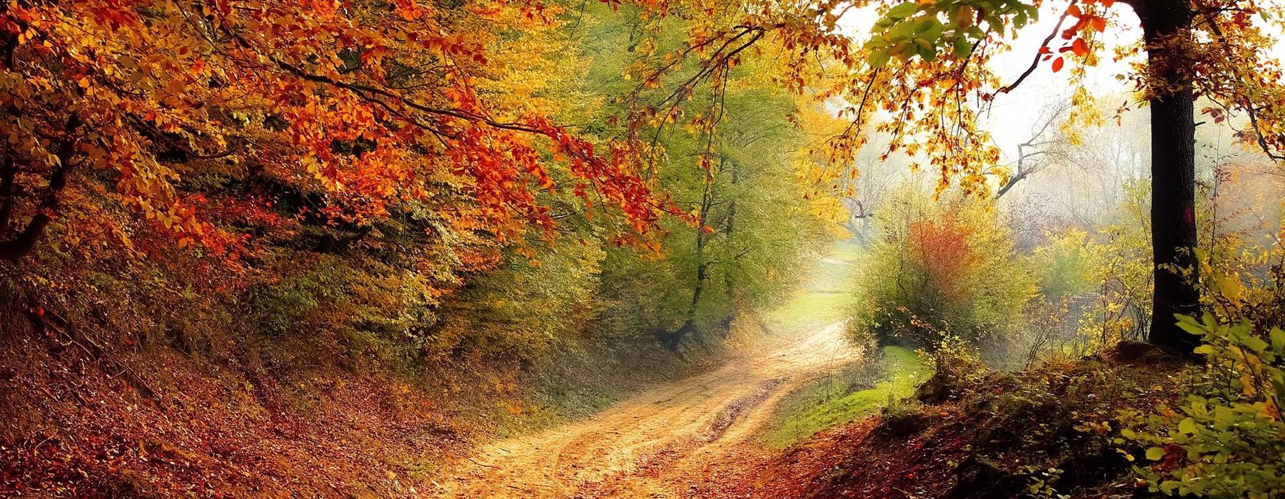 Road Gc6f64f0d8 1920