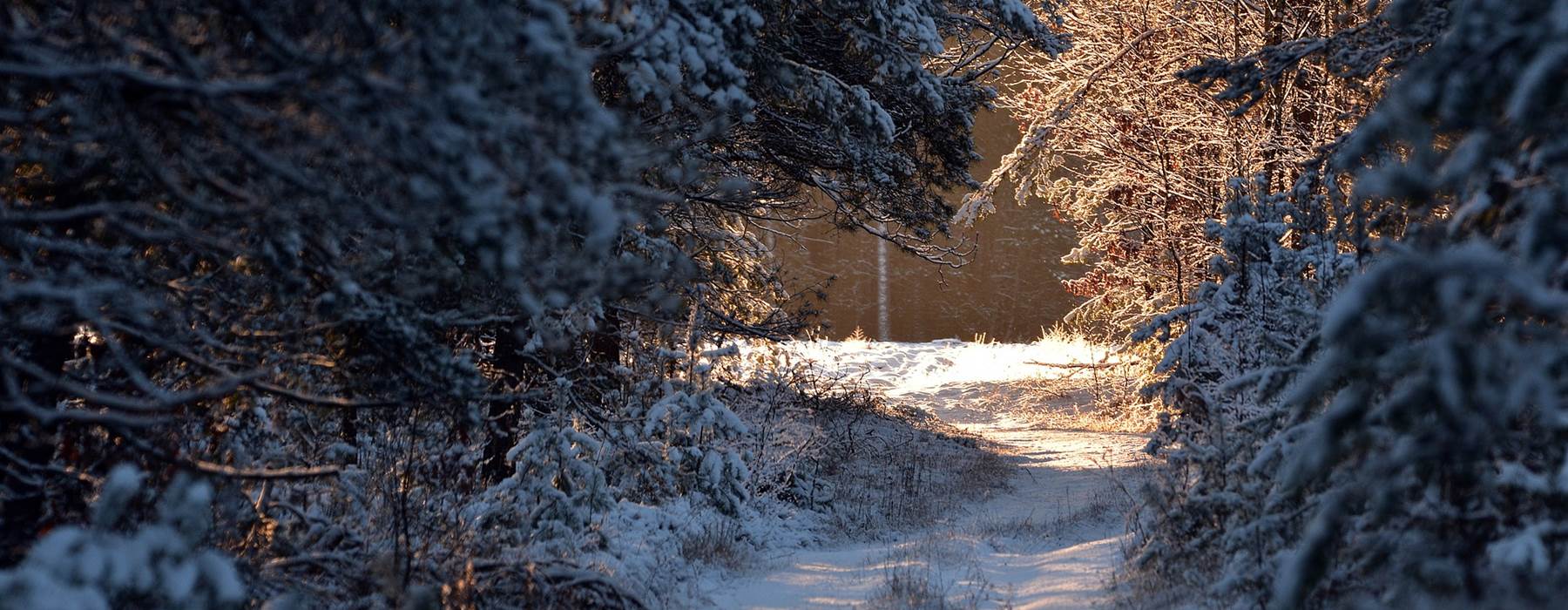 Winter G31b821352 1920