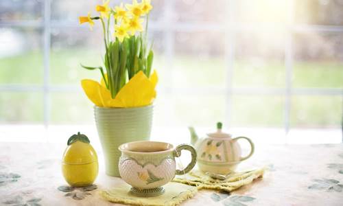 Daffodils 1316127 1280